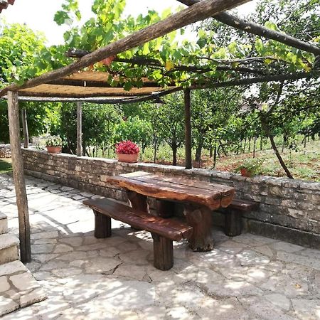 Holiday Home Maria Pazin Dış mekan fotoğraf